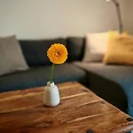 Large With Terrace Apartment Kerschdorf (Velden am Woerther See)